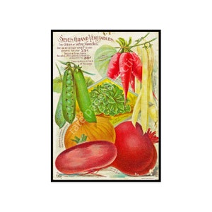 Antique Vegetable Garden Seed Catalog Print, 5 x 7, 1899 Greenhouse Wall Art Hanging, Home Decor, Botanical Decoration, Seed Packet, 18-4a