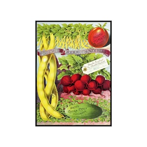 Seed Packet Art, Vegetable Garden Catalog Print, 5 x 7, Vintage Label Art & Country Kitchen Decor, Gardening Journal, Wall Art Print, 18-16