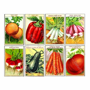 Paquets de graines françaises anciennes, feuille d'autocollants, paquets de graines de légumes vintage, décoration de jardin, abri de jardin, collage éphémère victorien, 607