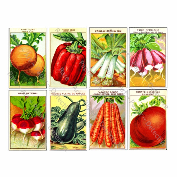 Antique French Seed Packs, Sticker Sheet, Vintage Vegetable Seed Packets, Garden Decoration, Gardening Shed, Victorian Ephemera Collage, 607