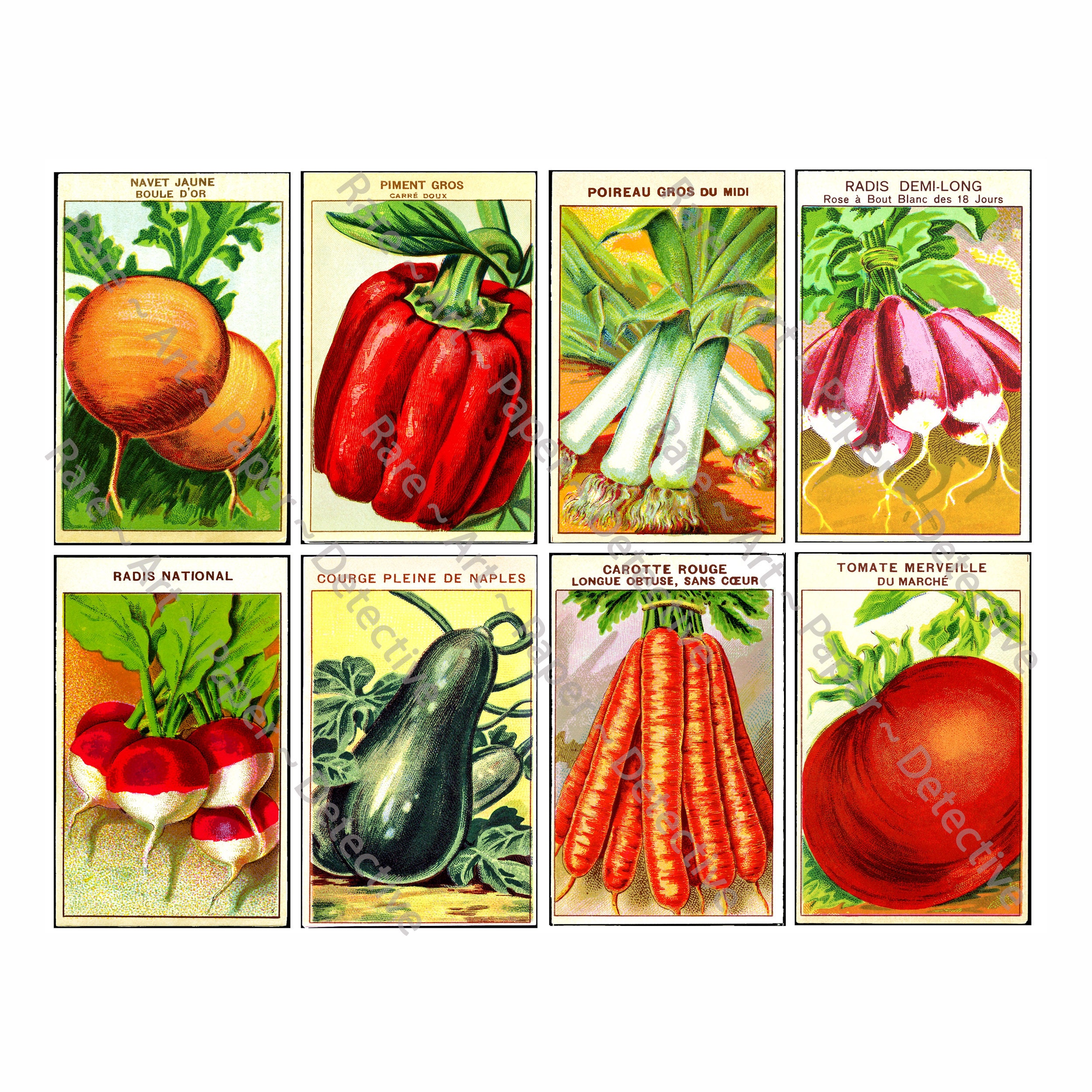 Antique French Seed Packs, Sticker Sheet, Vintage Vegetable Seed