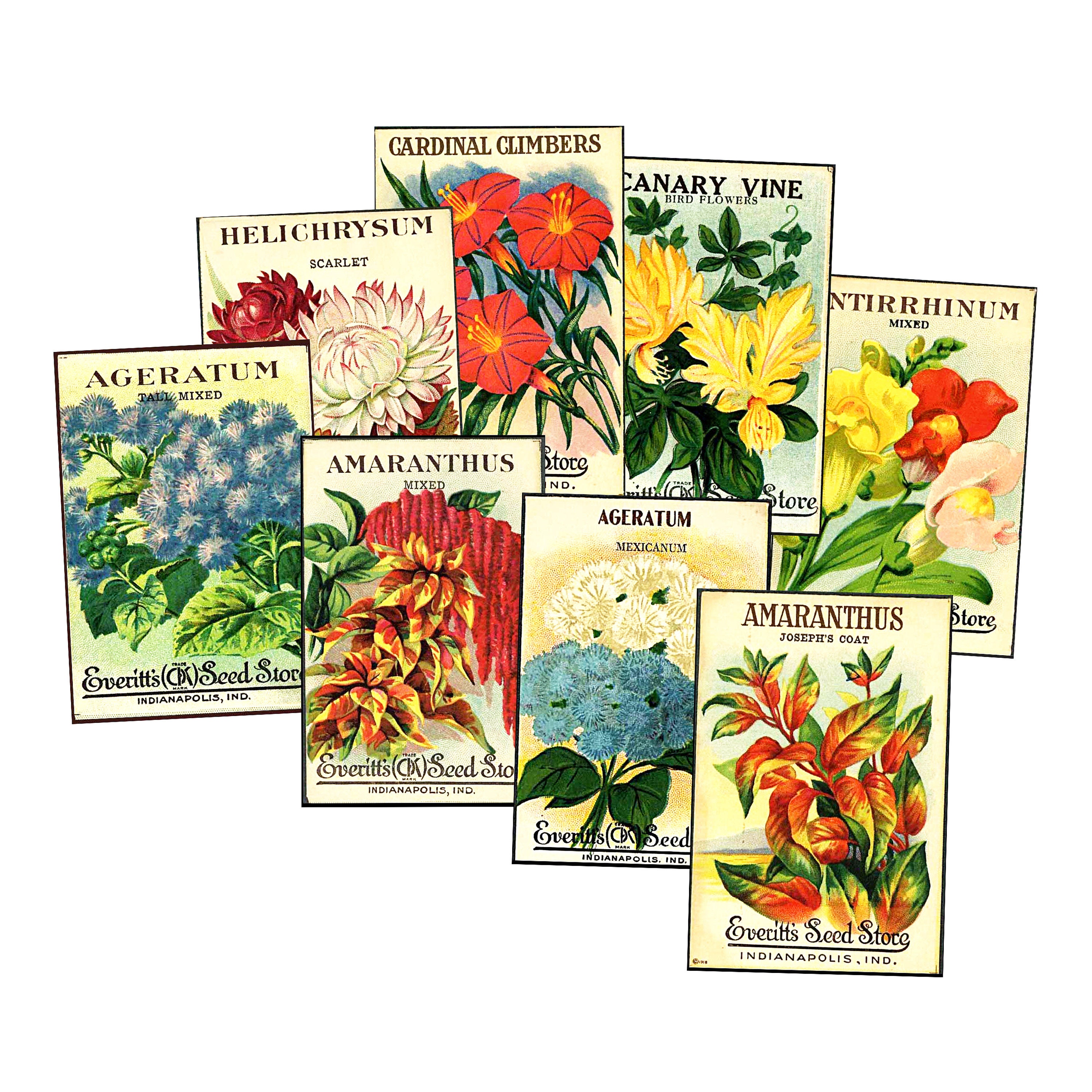 Printable Vintage Seed Packets, Instant Download Collage Sheet SKU 0023