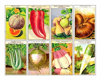 Antique French Seed Packs, Sticker Sheet, Vintage Vegetable Seed Packets, Garden Decoration, Gardening Shed, Victorian Ephemera Collage, 616