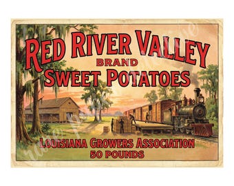 Red River Valley Sweet Potatoes 1940s Style Fruit Crate Label Art, Retro Advertising, 7" x 10" Matte Art Print , 26-a25