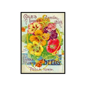 Flower Garden Print, 5 x 7, 1899 Wall Art Accent, Garden Farm Annual, Rustic Kitchen Cottage & Home Decoration, Seed Pack Catalog Art, 19-35