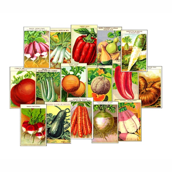 16 Franzsische Gemse-Samen-Aufkleber fr Gartenjournale auf 2 Bgen,  antike Samenpaket-Grafiken und Illustrationen, Garten-Clip-Art, 2P34 -  Etsy.de