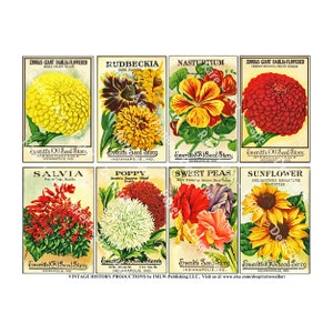 Foglio di adesivi per pacchetti di semi di fiori antichi, pacchetti di semi vintage per illustrazioni di diari di giardinaggio, capannoni da giardino rustici e decorazioni per giardinaggio, 622