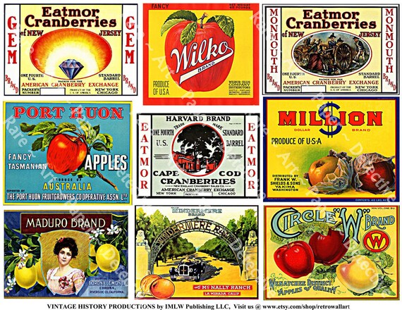 items similar to fruit crate labels printed sheet antique fruit box