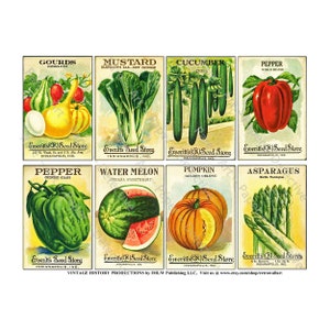 Foglio di adesivi per pacchetti di semi, confezioni di semi di verdure vintage, collage di cucina di cottage, capanno da giardino rustico, diario di giardino dell'era vittoriana, 619C