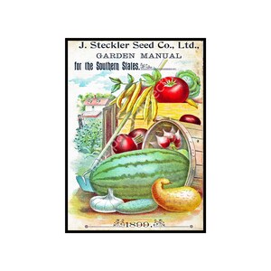 Antique Seed Catalog Print, 5 x 7, Vegetable Garden, 1899 Greenhouse Wall Art Hanging, Home Décor, Botanical Decoration, Seed Packet, 18-2a