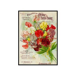 Antique Victorian Era Flower Garden Seed Catalog Print, 5 x 7, 1868 Wall Art Hanging, Garden Shed, Home Decor Decoration, Seed Packet, 18-10