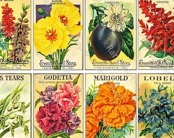 Antique Flower Seed Packets, Sticker Sheet, Vintage Seed Packs, Garden  Greenhouse Sign, Rustic Garden Shed, Botanical Ephemera Paper, 621