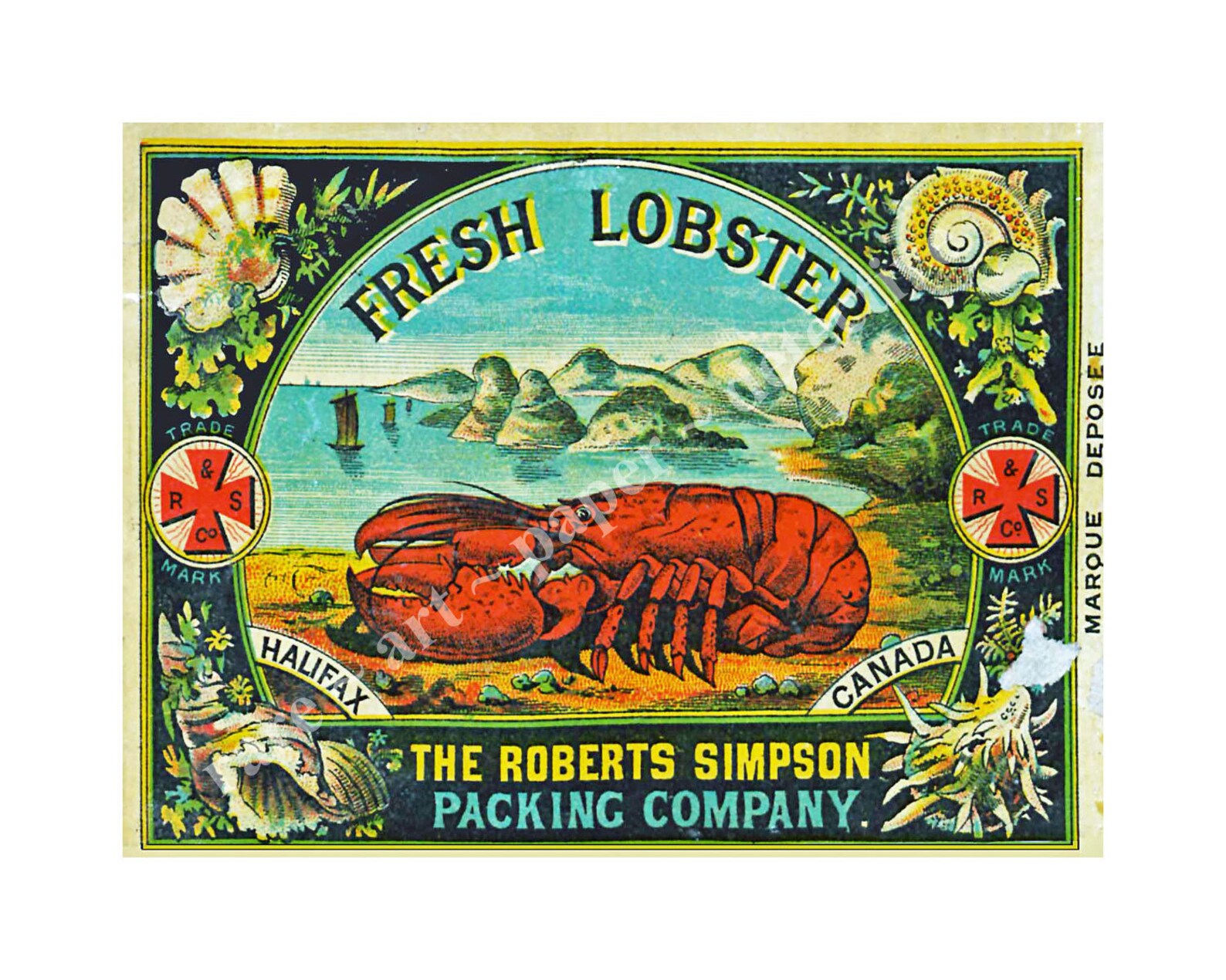 Kitchen Can Label Stickers Set 6 Lobster Labels for Kitchen | Etsy