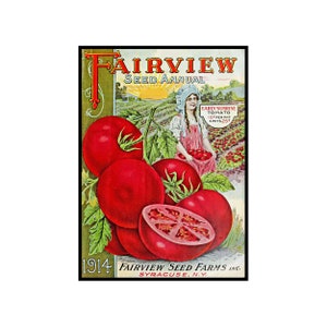 Garden Seed Catalog Print, 5 x 7, Vintage 1914 Vegetable Greenhouse Wall Art Hanging, Botanical Home Decor Decoration, Seed Packet, 18-23N