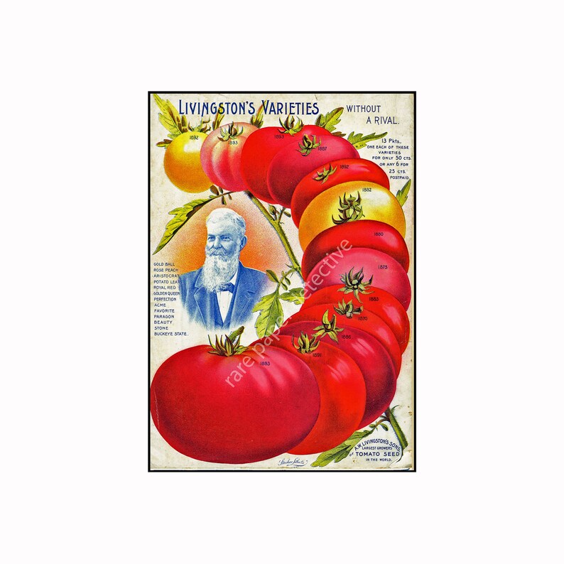 Garden Decor, Seed Packet Kitchen Decoration, Cottage Garden Col Garden Decor, Seed Packet Kitchen Decoration, Cottage Garden Col