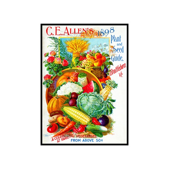 Vintage Seed Catalog Cover Print: 1898 Garden Art (5x7) - Etsy