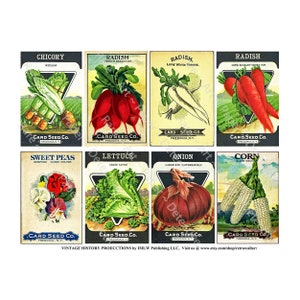 Carta artistica per confezioni di semi, foglio stampato, confezioni di semi di verdure vintage, cartello per serra da giardino, capanno da giardino rustico, carta botanica vittoriana, 627