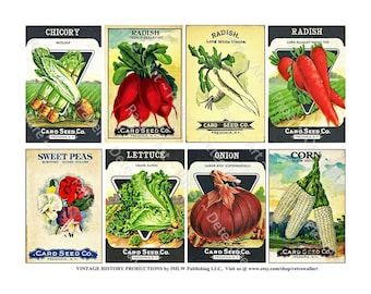 Seed Pack Art Paper, Printed Sheet, Vintage Vegetable Seed Packs, Garden Greenhouse Sign, Rustic Garden Shed, Victorian Botanical Paper, 627