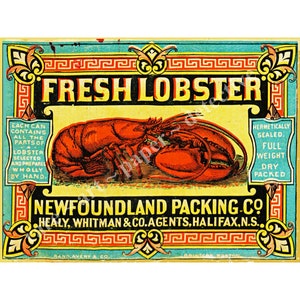 Kitchen Lobster Label Stickers Set 6 Can Labels for Kitchen - Etsy