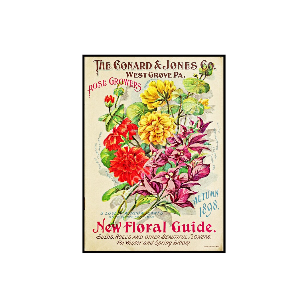 Flower Garden Catalog Print, 5 X 7, 1898 Wall Art Hanging, Garden Shed