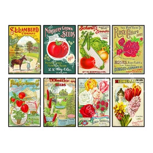 Adesivos de diário de jardim, 8 capas de catálogo de sementes antigas, decoração de cozinha, marcadores de horta de tomate, cozinha rústica e confecção de cartões, 861P