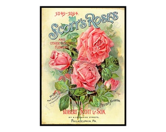 Rose Garden Print, 5 x 7, 1894 Wall Art Accent, Garden Farm Annual, Rustic Kitchen Cottage & Home Decoration, Seed Packet Catalog Art, 19-32
