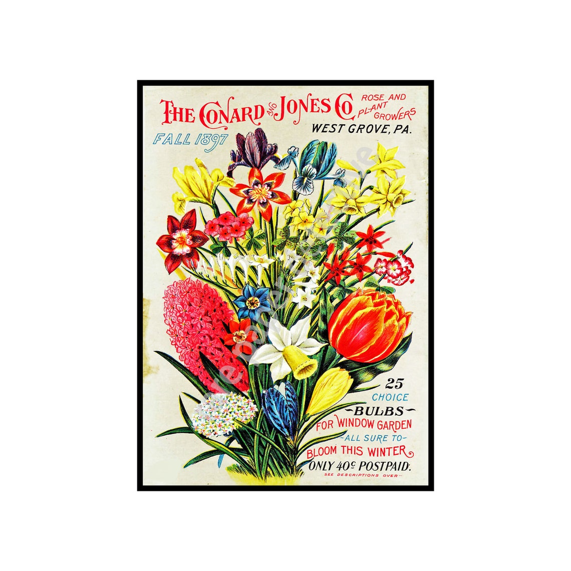 Garden Catalog Cover 5x 7 Print Vintage Etsy
