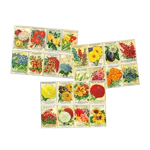 Assortimento di adesivi per confezioni di semi di fiori, decorazioni per pacchetti di semi da giardino su 3 fogli fai da te, 24 illustrazioni di semi vintage per regali di giardinaggio, 3P3