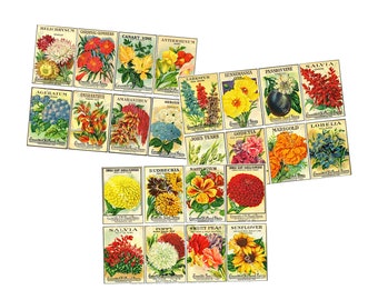 Flower Seed Pack Sticker Assortment Garden Seed Packet Decor on 3 DIY Craft Sheets 24 Vintage Seed Illustrations for Gardening Gifts, 3P3