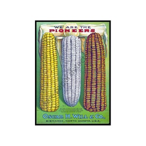 Home Decor Garden Seed Catalog Print, 5 x 7, Vintage 1899 Vegetable Greenhouse Wall Art Hanging, Botanical Decoration, Seed Packet, 18-21