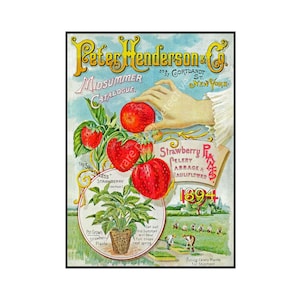 Garden Seed Catalog Print, 5 x 7, 1894 Wall Art Hanging, Garden Shed, Green House, Patio Decor, Home Decoration, Antique Seed Packet, 18-73
