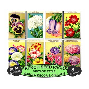 Confezione di semi ADESIVI, Pacchetti di semi di fiori francesi, Decorazione da giardino e regali per il giardinaggio, Foglio tagliabile fai-da-te, 606
