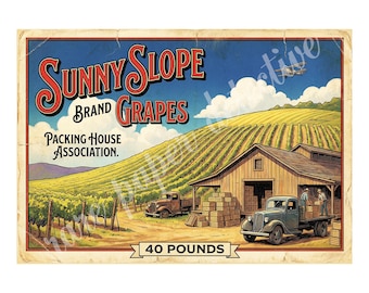 Sunny Slope Brand Grapes 1940s Style Fruit Crate Label Art, Retro Advertising, 7" x 10" Matte Art Print , 26-a27