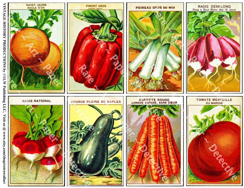 Victorian Ephemera Collage Antique French Seed Packs Garden Decoration 607 Vintage Vegetable Seed Packets Printed Sheet Gardening Shed