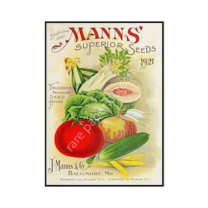 Vegetable Garden Catalog Print, 5 x 7, 1921 Wall Art Hanging, Garden Shed, Rustic Kitchen & Home Decoration, Antique Country Scene, 18-79