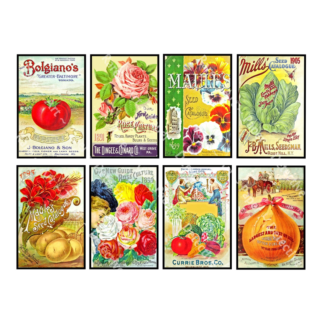 Garden Journal Stickers 8 Antique Seed Catalog Covers - Etsy