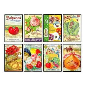 Adesivos de diário de jardim, 8 capas de catálogo de sementes antigas, decoração de cozinha, marcadores de horta de tomate, cozinha rústica e fabricação de cartões, 860N