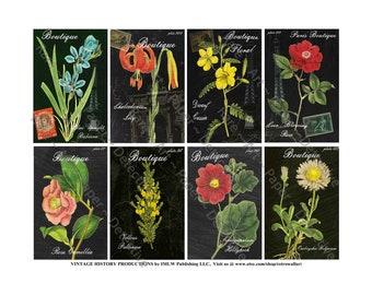 Antique French Botanical Art, Printed Vintage Paris France, Romantic Floral Accents, French Boutique, Eiffel Tower, Old Flower Drawing, 640