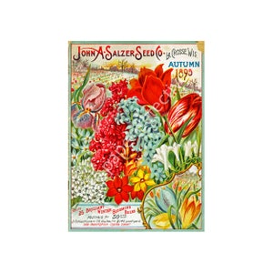 Antique Flower Garden Seed Catalog Print, 5 x 7, 1895 Wall Art Hanging, Garden Shed, Green House, Home Decor Decoration, Seed Packet, 18-29