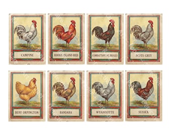 Pegatinas de gallos. Ilustraciones antiguas de gallinas y gallos, ideales para diarios de jardinería, marcapáginas o regalos. Pegatinas de 8,9 cm (3,5 pulgadas). Hoja recortable y despegable. 1521