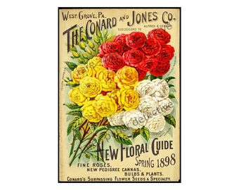 Original Flower Vintage Lithographed Seed Packet Catalog Cover Deposit Seed  Company New York 1929 Double Panel - Etsy
