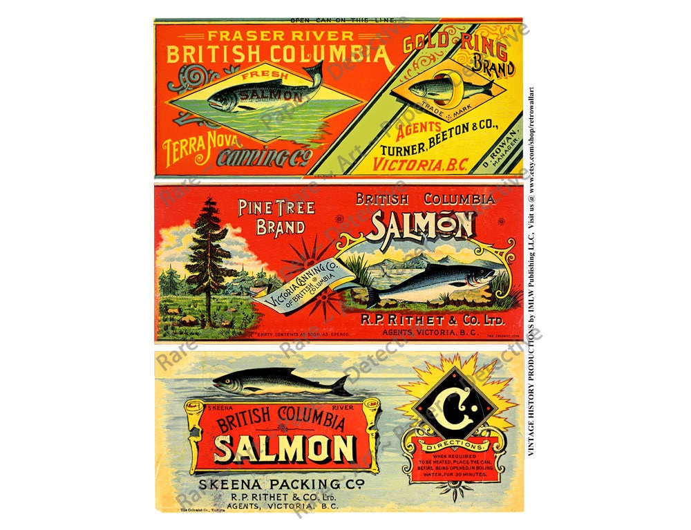 Vintage Red Salmon Cannery Labels, Printed Sheet, 3 Can Labels, Antique Columbia Packing Company Labels, Kitchen Decoration, Pine Tree, 533