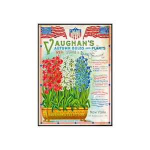 Flower Seed Catalog Print, 5 x 7, 1898 Wall Art Hanging, Patriotic American Flag Design, Green House Decoration, Antique Seed Packet, 18-38