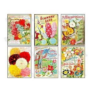 Pacotes de sementes de flores, adesivos reais, 6 rótulos de capa de catálogo de sementes antigas, impressões de arte de jardim, arte de estufa, 1 folha de CORTE e DESCASCAMENTO, 714N