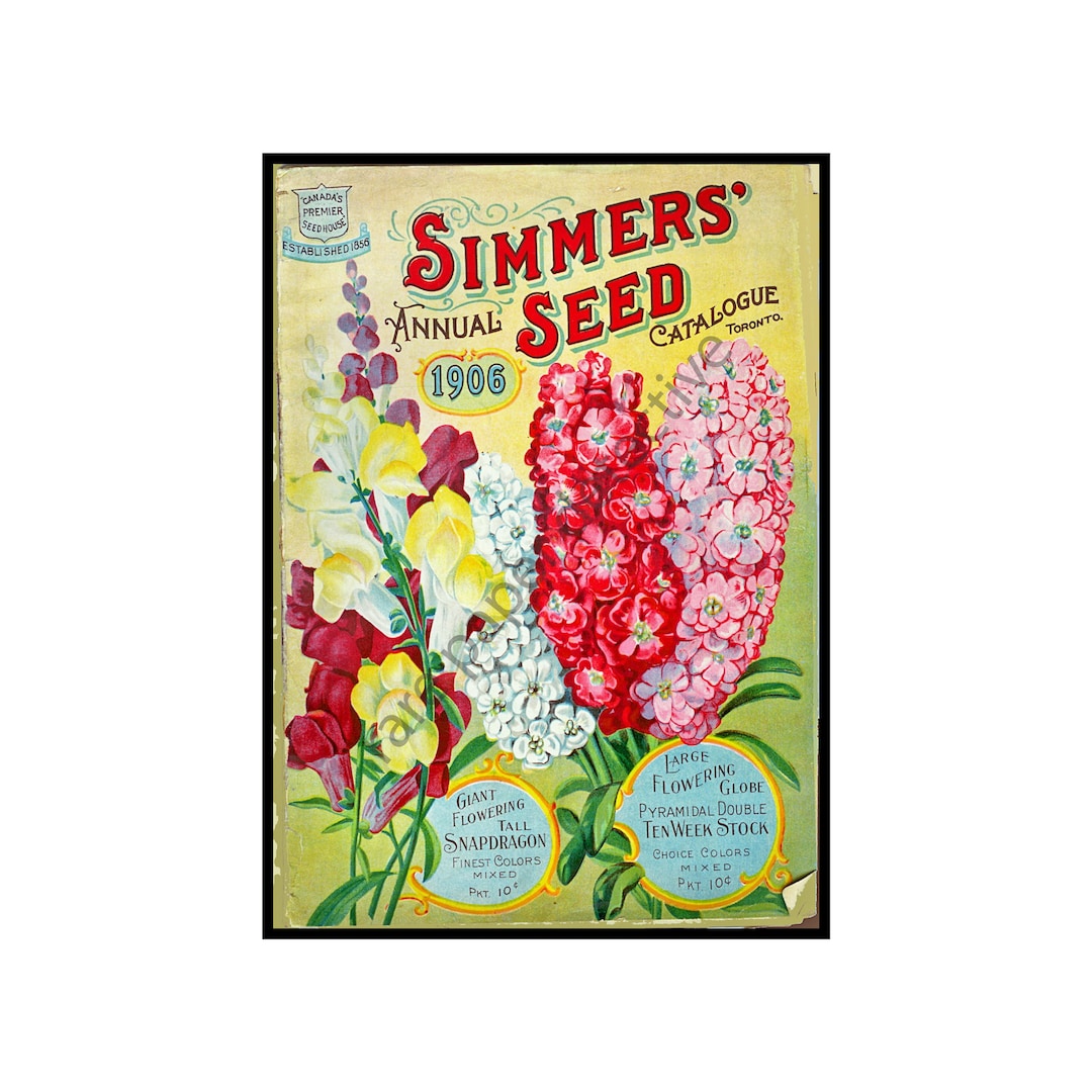 Antique Victorian Era Flower Garden Seed Catalog Print, 5 X 7, 1906