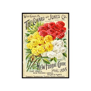 Antique Rose Print Gift for Her Seed Guide Vintage Flower Garden Seeds Home Wall Art Gardening Gift for Gardeners, 5&quot; x 7&quot; Size, 15