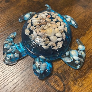 Blue sea turtle with sea shells