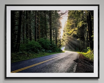 Forest Road With Sun Rays | Serene Nature Fine Art Photography Print | Pacific Northwest Wall Art | Woodland Landscape | Framed / Unframed