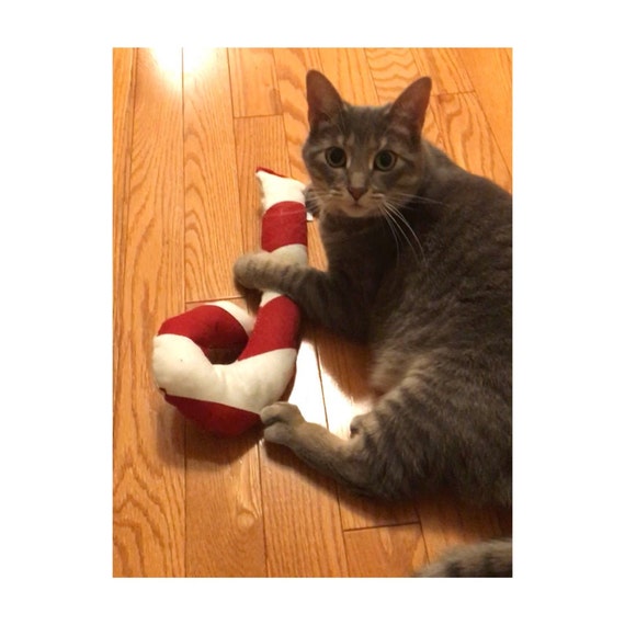catnip candy cane