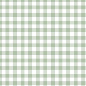 May include: A repeating pattern of sage green and white squares forming a classic gingham check design. The grid consists of uniform horizontal and vertical lines that intersect to create a consistent, balanced, and symmetrical checkered textile motif.